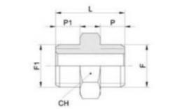 Dimensions de double mamelon avec fil BSPP