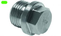 Plug with outdoor side and bond with BSPT - stainless steel