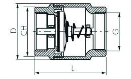 Check valve vacuum drawing