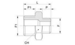 Dimensions de double mamelon avec fil BSPP