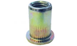 Ecrou à riveter aveugle acier + culasse