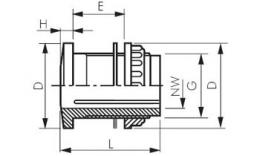 Disegno
