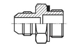 Disegno