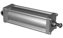 Single Acting Cylinder Special
