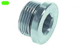 Plug with sealing ring - galvanized steel