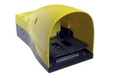 Foot valve standard