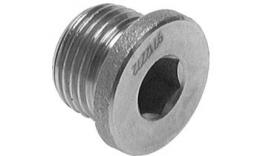 Plug with hexagon socket and BSPT thread stainless steel