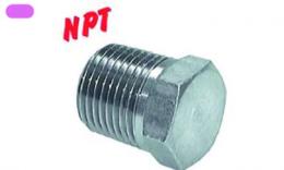 Plug with NPT wire - Steel galvanized