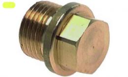 Plug with outdoor side side and bond with BSPT - brass
