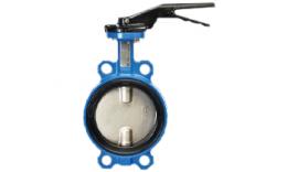 Butterfly valve_