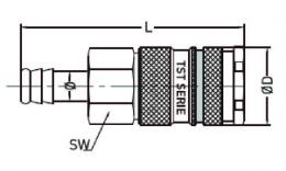 drawing_slang pillar